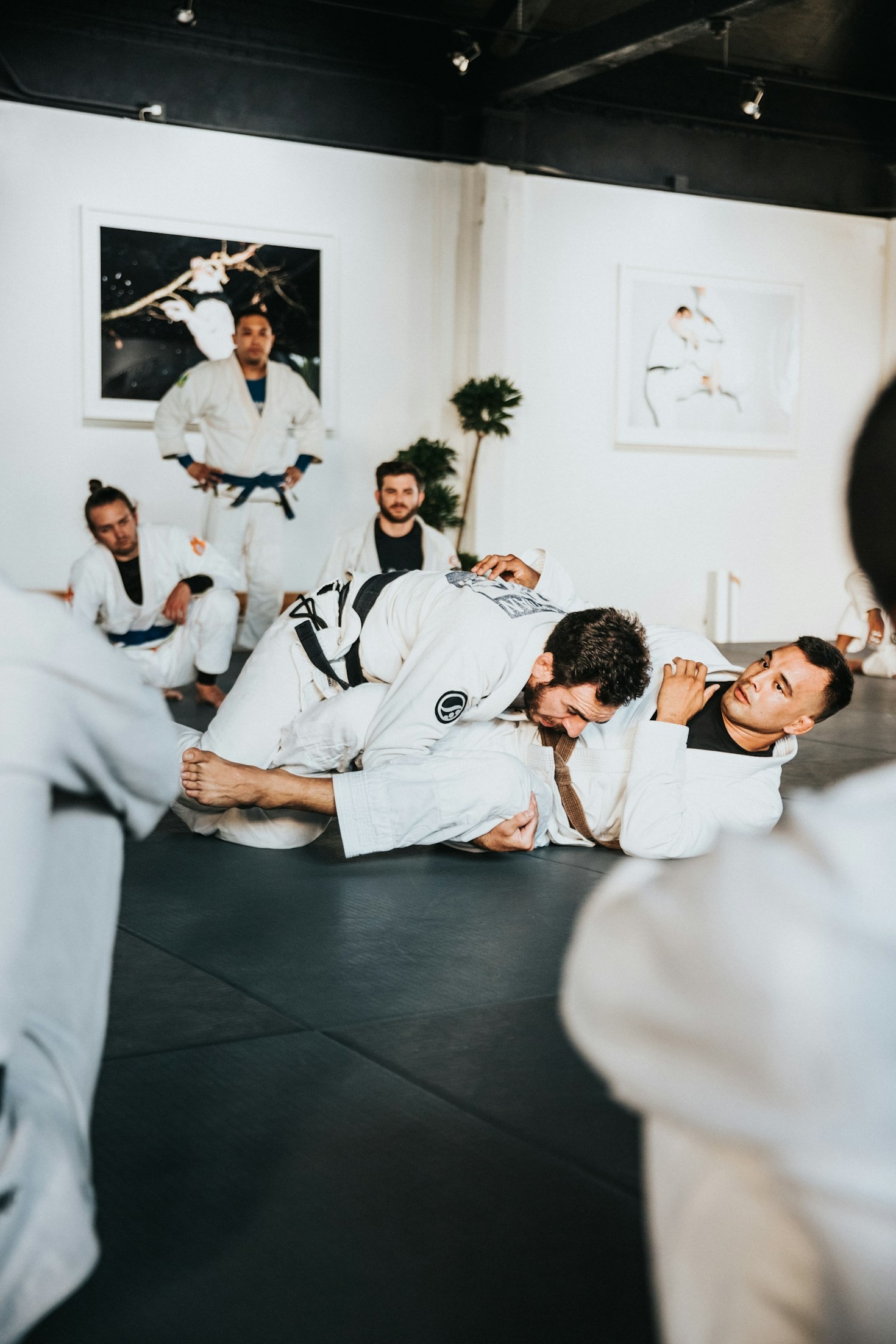 Jiu Jitsu como Desporto e Estilo de Vida